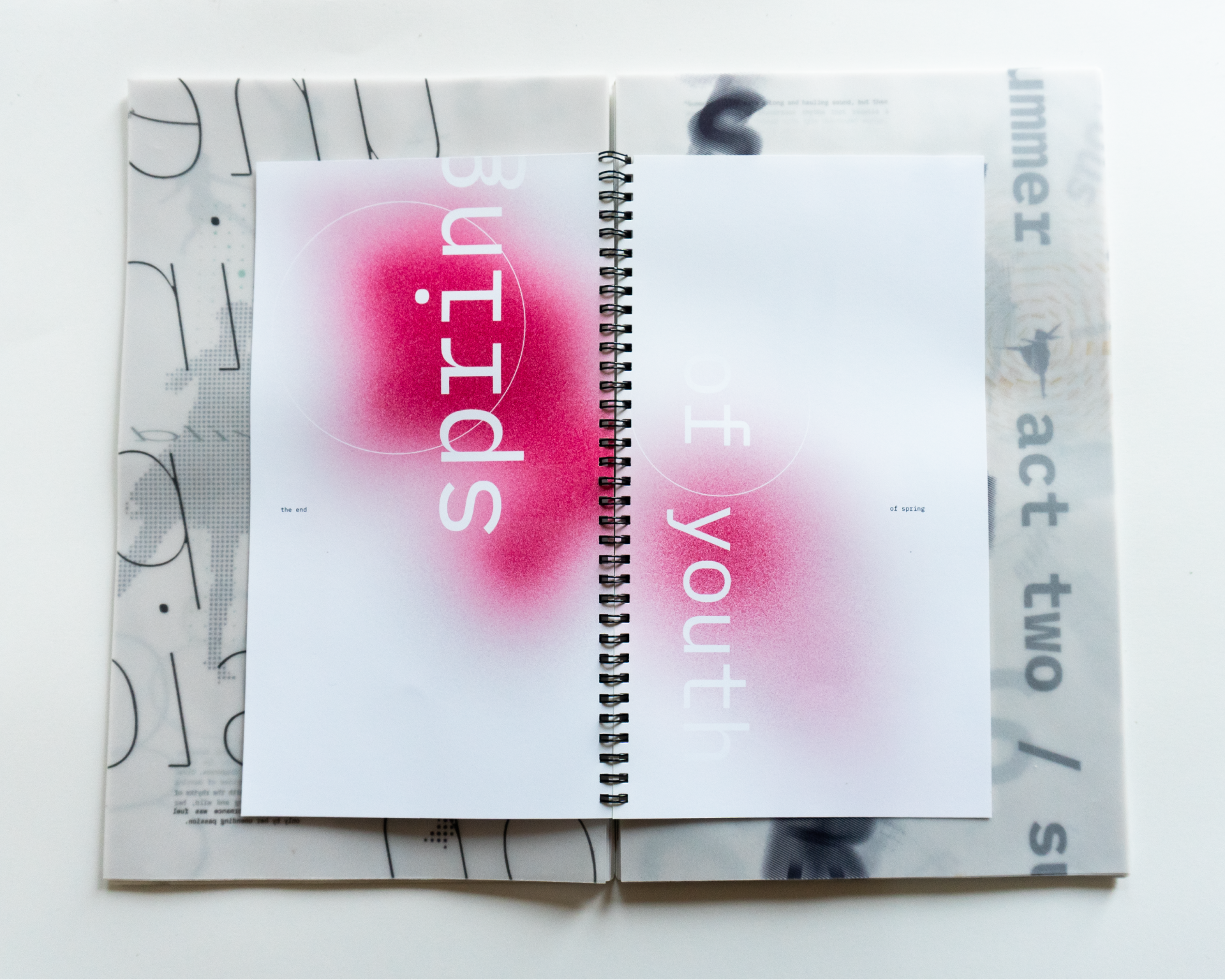 Spring spread view, slotted page